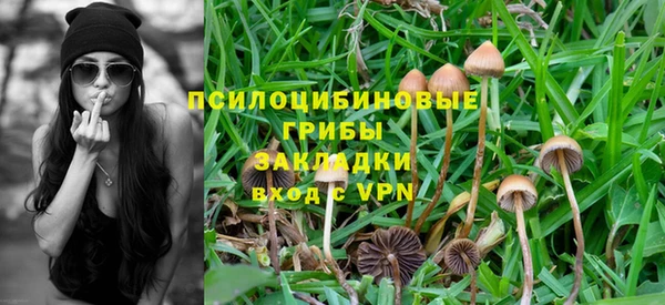 бошки Пролетарск