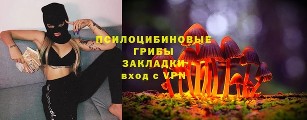 гидра Протвино